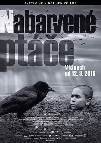 Nabarvené ptáče (2019)